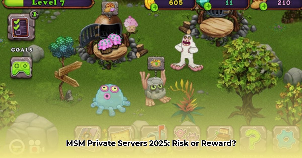 msm-private-server